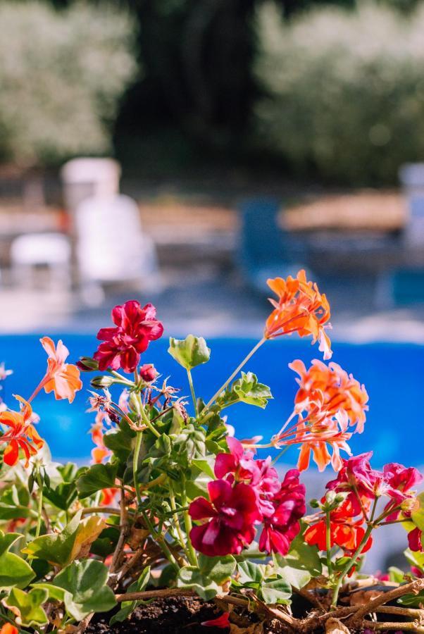 Guest House Sosi Umag Buitenkant foto