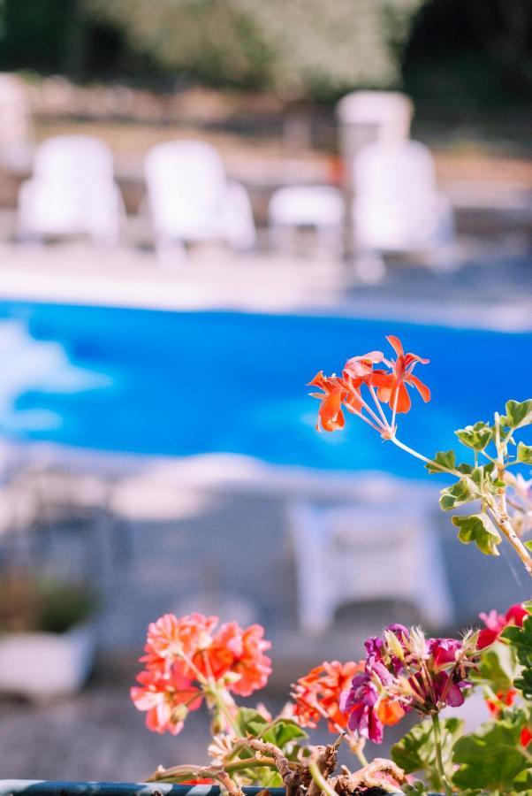 Guest House Sosi Umag Buitenkant foto